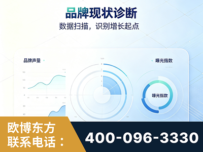高密-品牌现状诊断