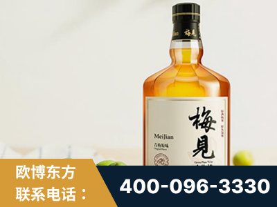 高密-梅见青梅酒